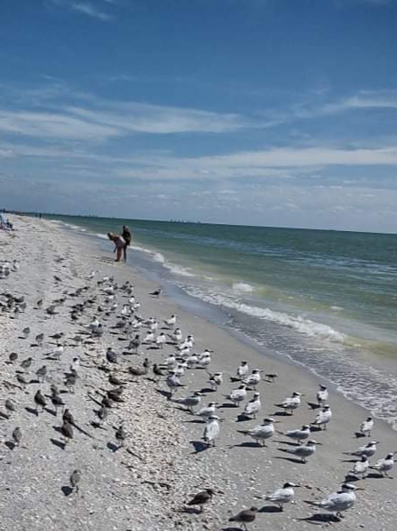 Sanibel, Florida