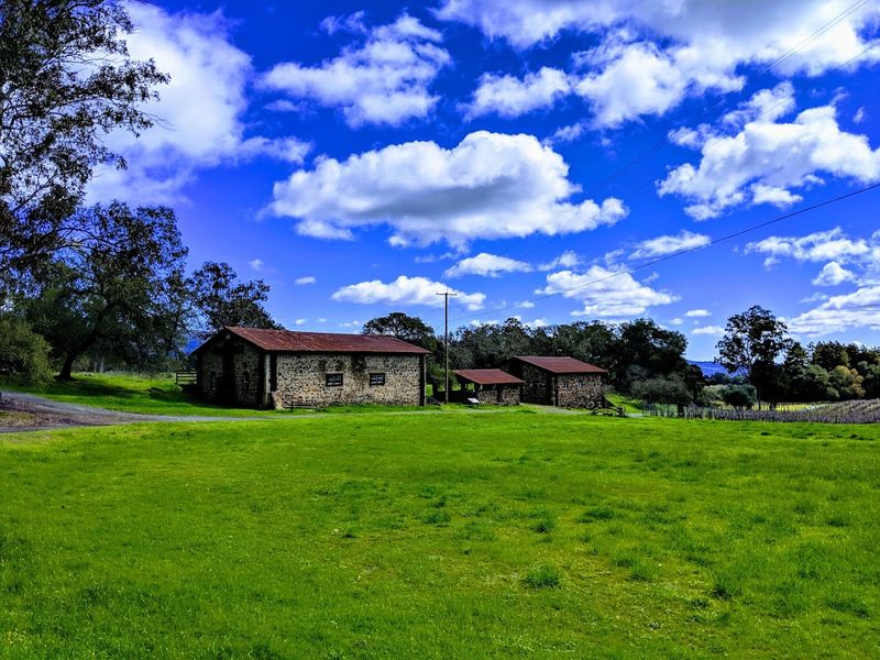 This quiet California wine country spot feels like a secret people are struggling not to share 5 Hiking Trails That Reward Every Fitness Level
