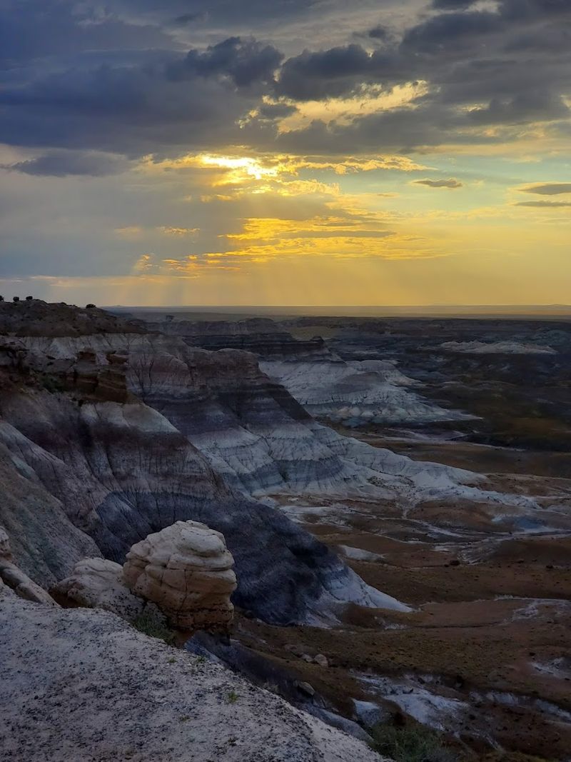 Petrified Forest's Dark Sky Magic: Stargazing at Its Best