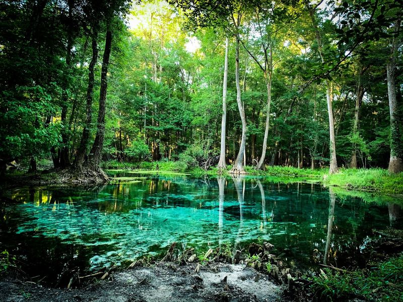 A 1.7-Mile Hike in Florida Leads You to 5 Beautiful Natural Springs 6 Nature Trail and Restoration Springs