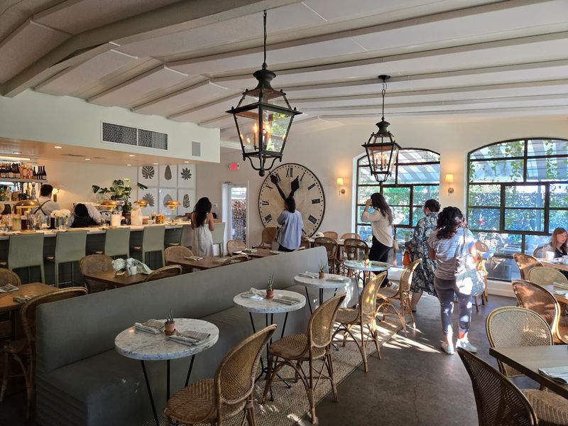 Tiny Boxwoods - Houston, Texas