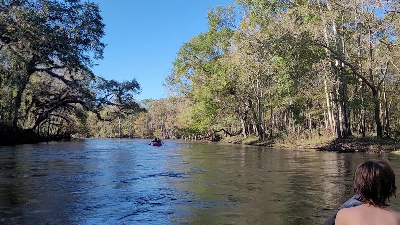 Canoeing Through Serene Natural Waterways