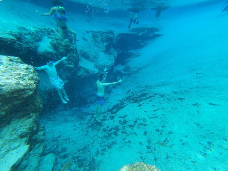 This hidden Florida spring is so clear and beautiful people cannot believe it is still this peaceful 5 Snorkeling Among Fish and Underwater Shells