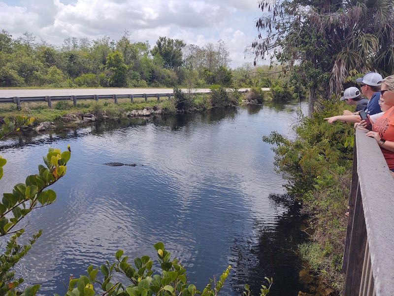 Oasis Visitor Center Wildlife Boardwalk