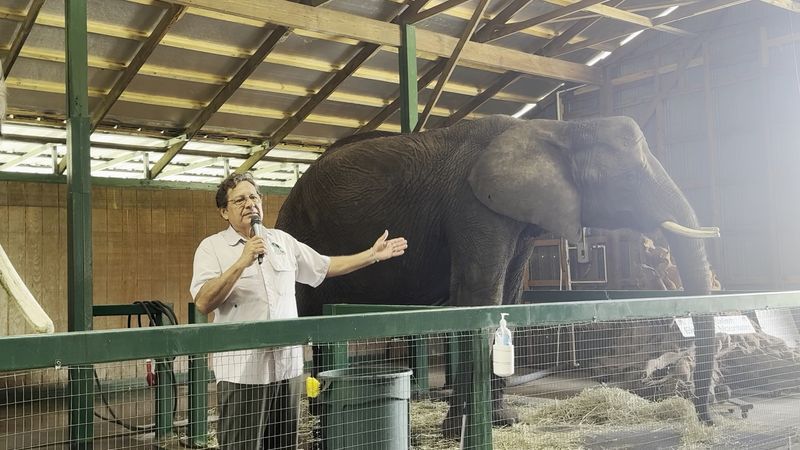 Educational Talks That Go Beyond the Basics