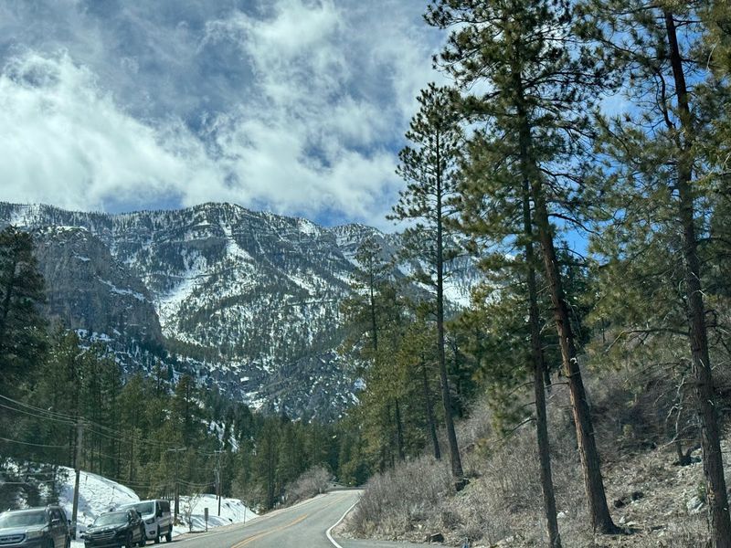 Mount Charleston - Mount Charleston, Nevada