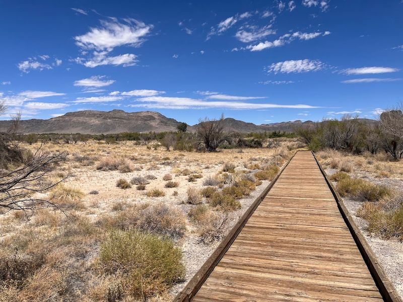 Ash Meadows National Wildlife Refuge - Amargosa Valley, Nevada