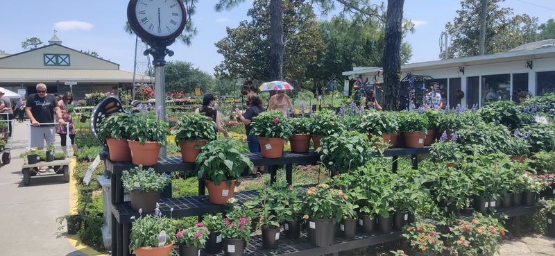 A Community Rooted in Passion for Growing