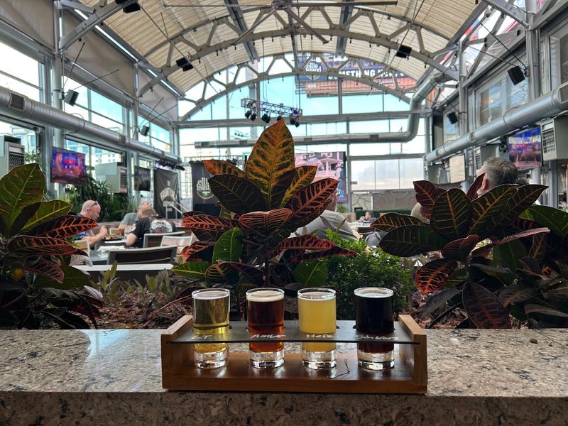 The Front Yard - Las Vegas, Nevada