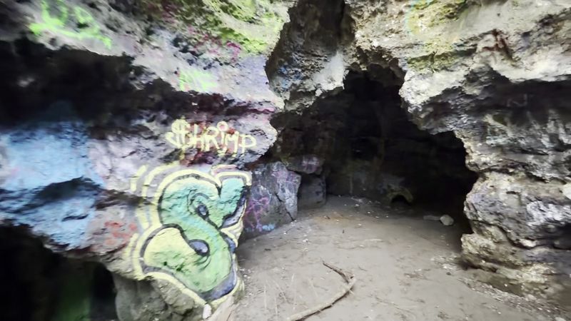 This Florida Cave Trail Offers a Thrilling Hike for the Whole Family 12 What the AllTrails App Reveals About This Trail