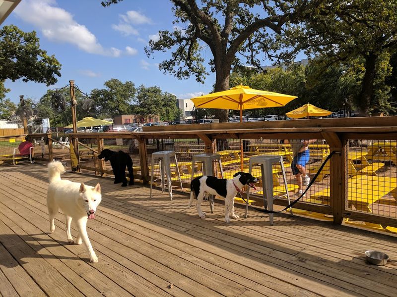 13 Texas Patio Restaurants With Views Worth Staying For 10 MUTTS Canine Cantina® - Dallas - Dallas, Texas