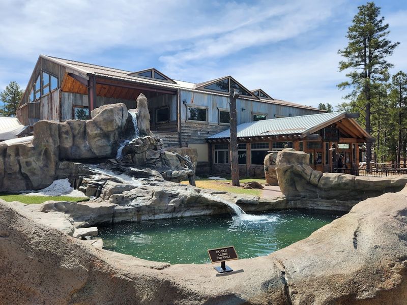 This Arizona Park Lets You Drive Through 160 Acres of Animal Habitats 10 The Cave Restaurant: Dining Like You Are Underground