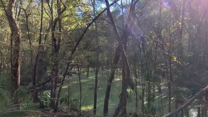 The Caves Hiding Near the Trail