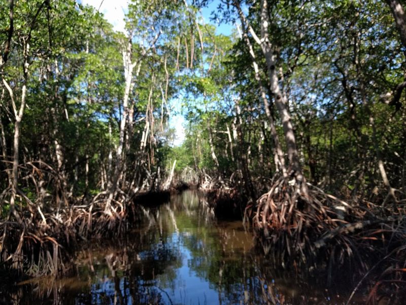 Ranger-Led Programs and Educational Tours