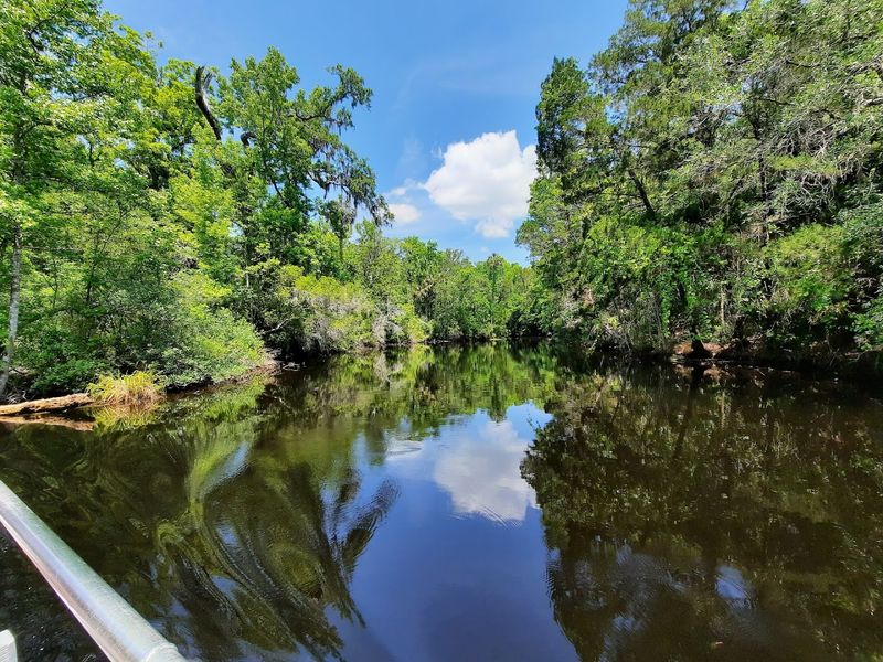 A Wildlife Rehabilitation Mission That Matters