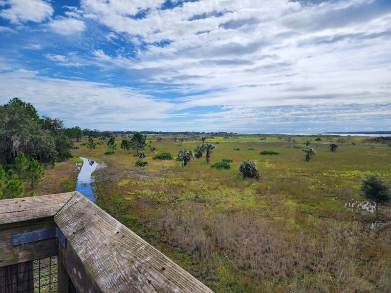 Lake Kissimmee State Park - Lake Wales, Florida