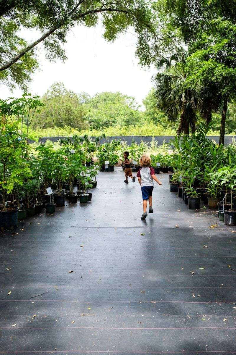 This Florida Greenhouse at GreenDreams Nursery in Spring Hill Is Changing How Locals Grow Fruits, Herbs, and Flowers 10 A Kid-Friendly Space Where Learning Feels Like Adventure