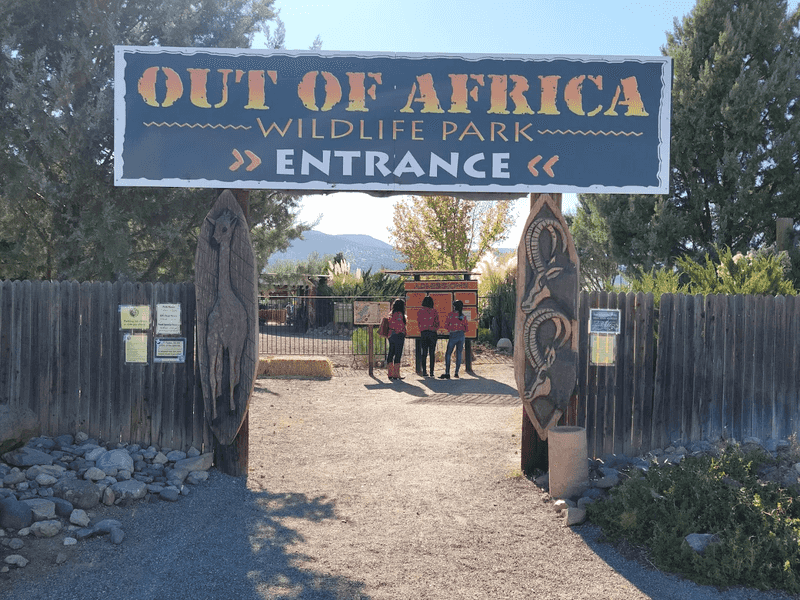Practical Tips for Visiting Out of Africa