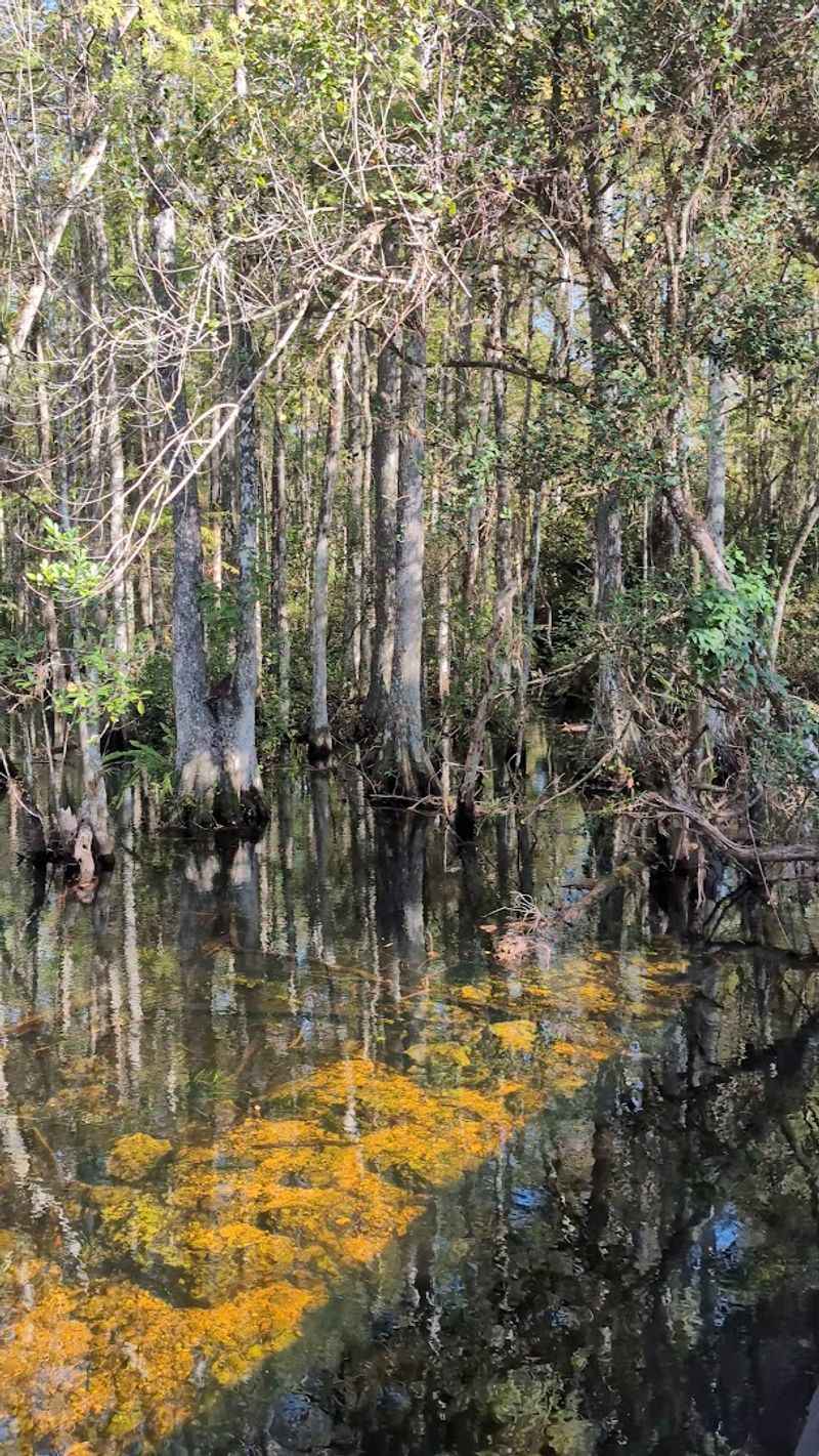 Wildlife Photography Opportunities