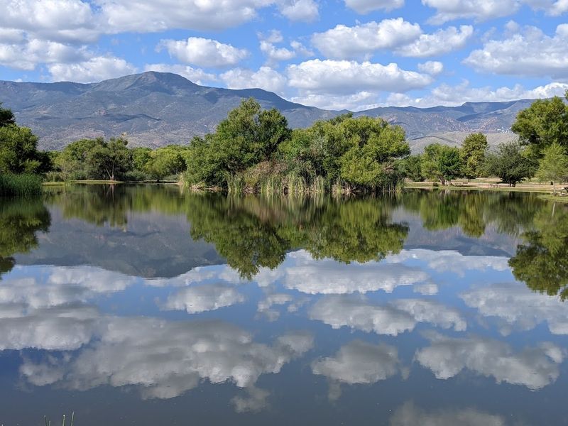 The Verde River as a Natural Backdrop