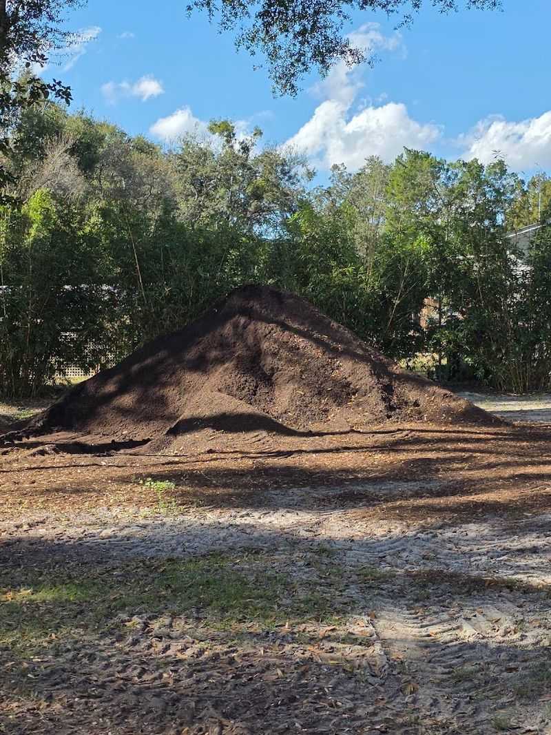 This Florida Greenhouse at GreenDreams Nursery in Spring Hill Is Changing How Locals Grow Fruits, Herbs, and Flowers 4 Homemade Organic Soil and Compost You Can Actually Trust