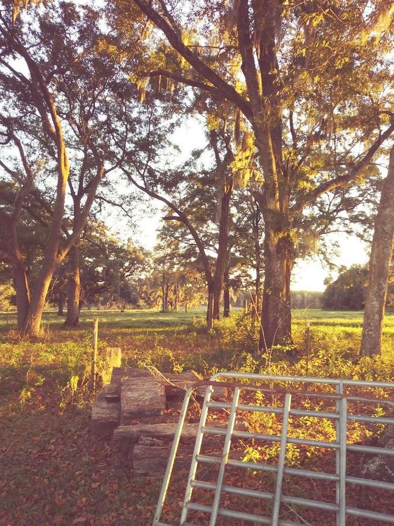 The Natural Bridge Battlefield Historic State Park Nearby