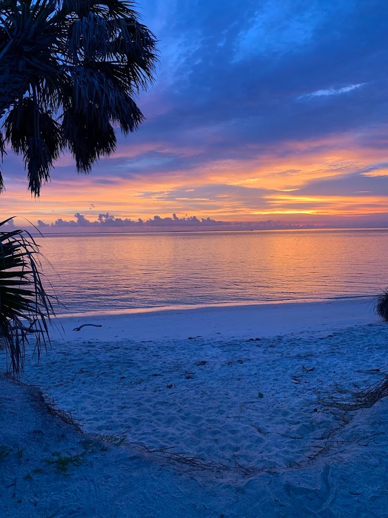 Sunrise Shell Walks: Why Early Birds Win Big