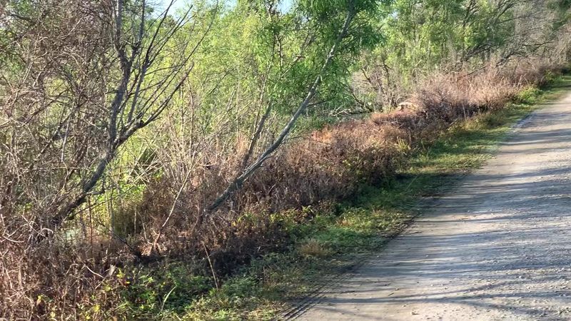 Biking Through the Reserve: A Whole New Experience