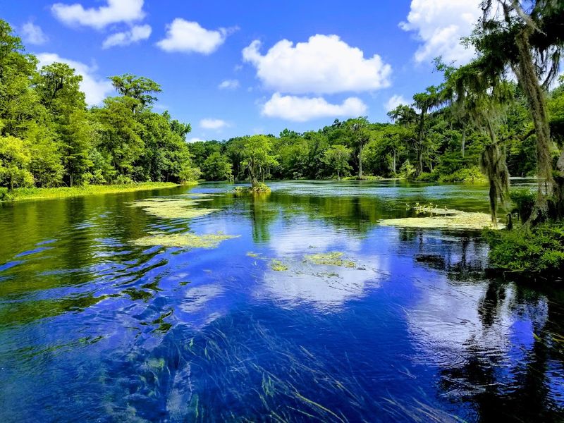 Wakulla Springs State Park