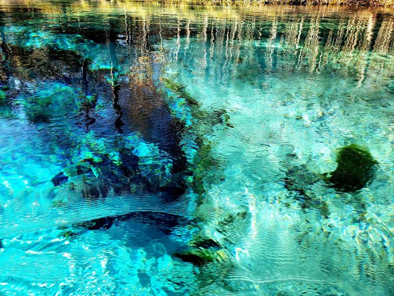 A 1.7-Mile Hike in Florida Leads You to 5 Beautiful Natural Springs 4 Gilchrist Blue Spring Run