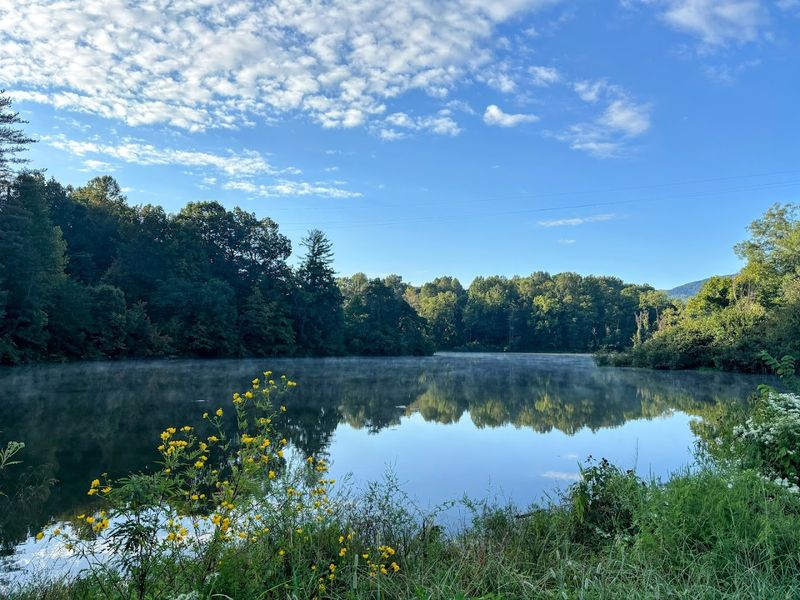 9 Tennessee state parks that deserve more attention than the usual favorites 9 Cove Lake State Park - Caryville, Tennessee