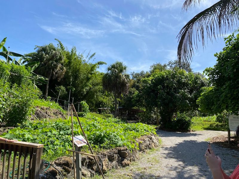 This Florida greenhouse approach helps gardeners grow more with less stress 9 Permaculture Design Principles for Home Gardens