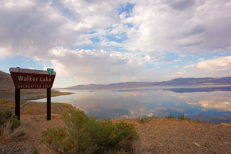 Walker Lake Recreation Area - Hawthorne, Nevada