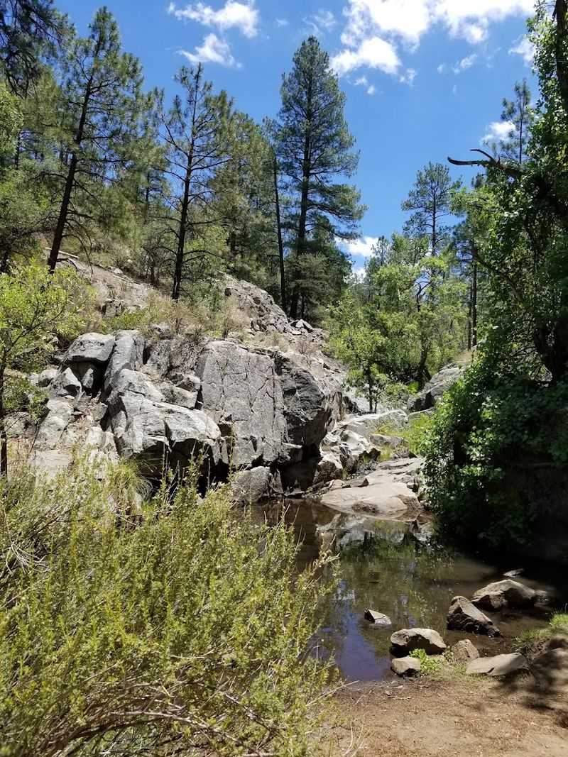 Prescott National Forest Right Outside Your Door