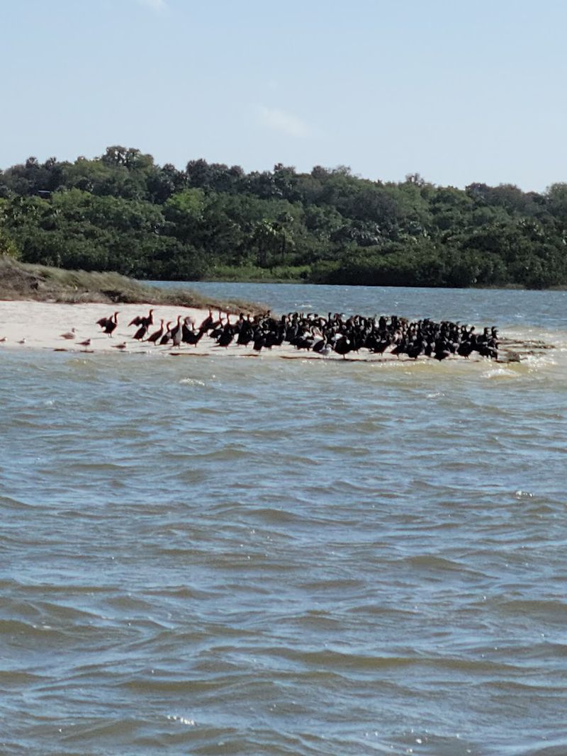 Seahorse Key: The Mysterious Island You Can Only Visit Part of the Year