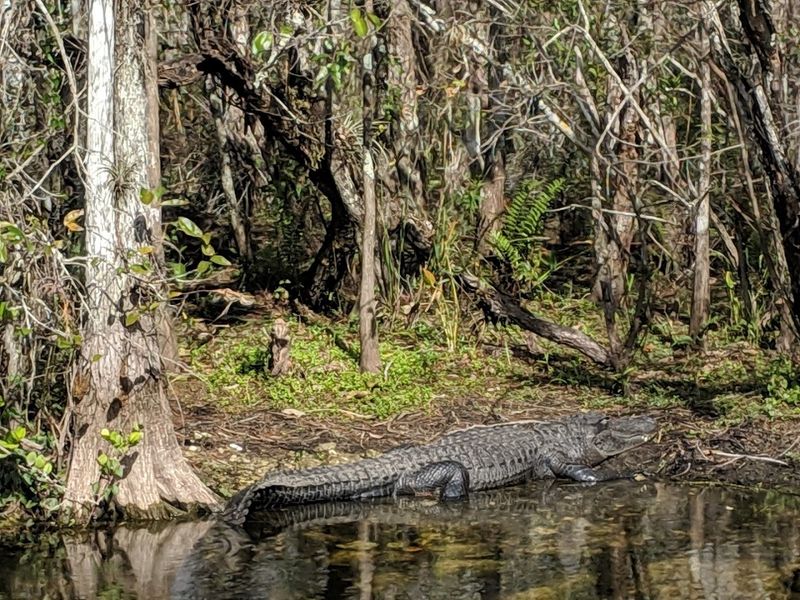 Loop Road Scenic Drive