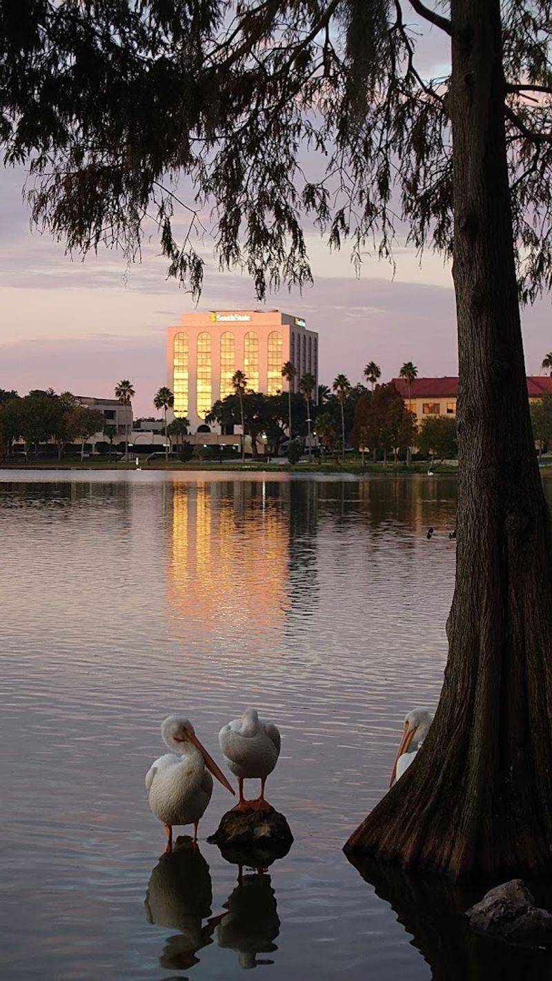 Lakeland - Lakeland, Florida