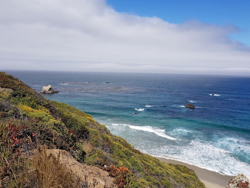 The Scenic Bluff Path: Views That Will Rearrange Your Brain