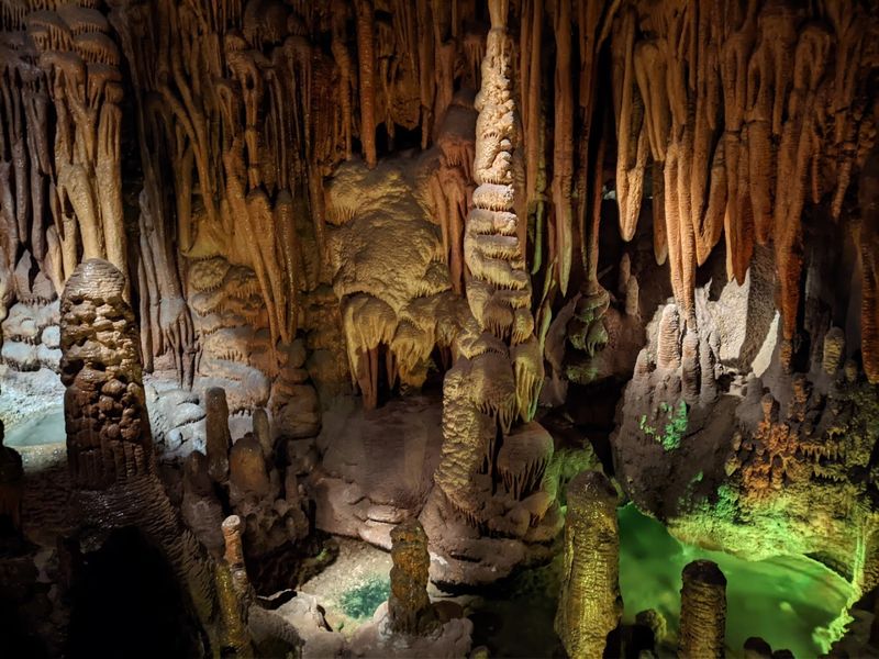 Arizona-Sonora Desert Museum - Tucson, Arizona