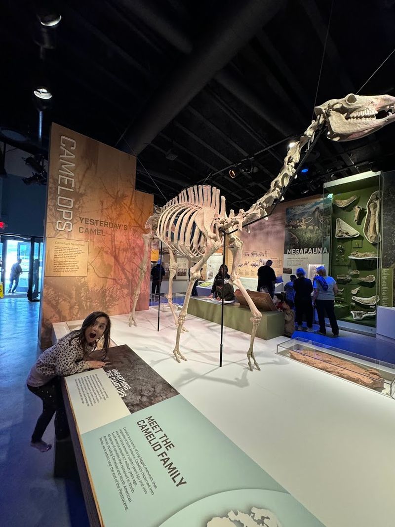 Ice Age Fossils State Park - North Las Vegas, Nevada