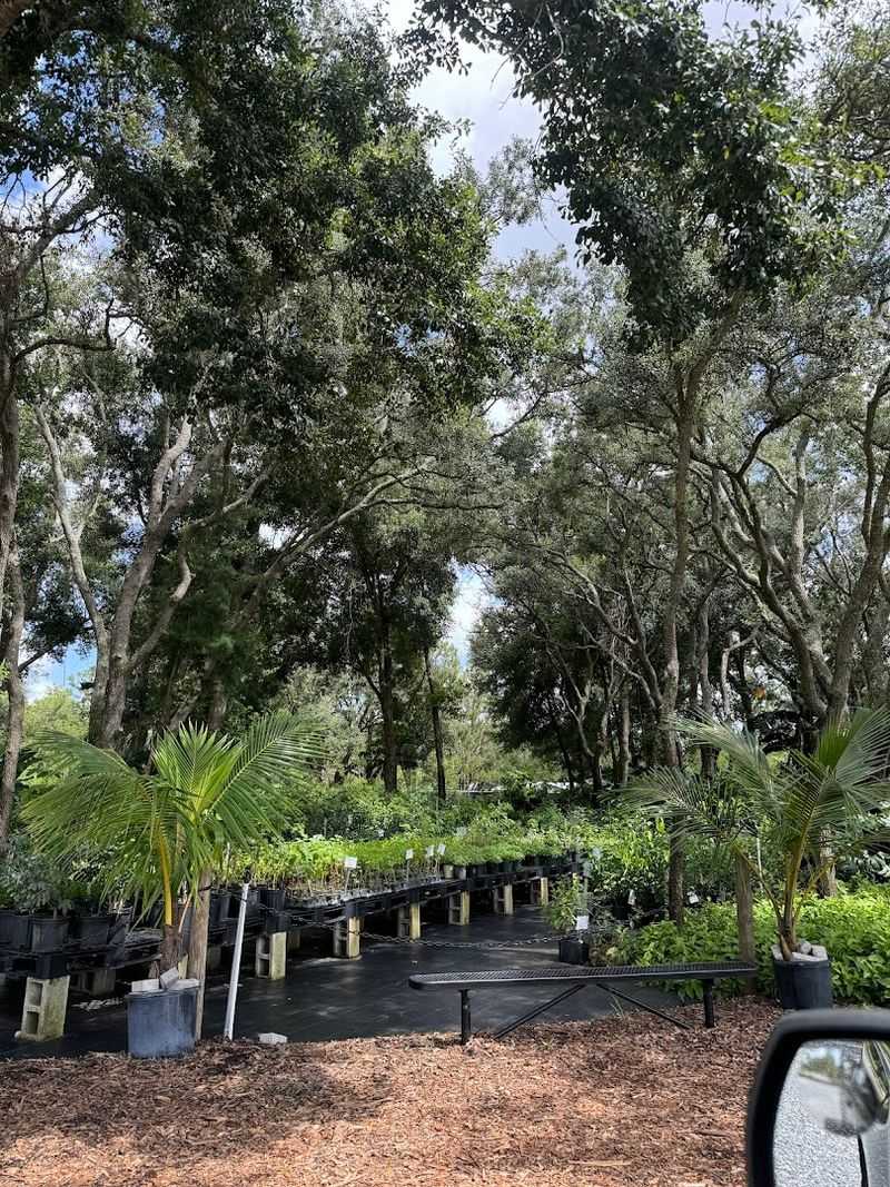 This Florida Greenhouse at GreenDreams Nursery in Spring Hill Is Changing How Locals Grow Fruits, Herbs, and Flowers 13 Fair Prices That Make Quality Organic Plants Accessible