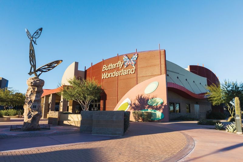 Butterfly Wonderland - Scottsdale, Arizona