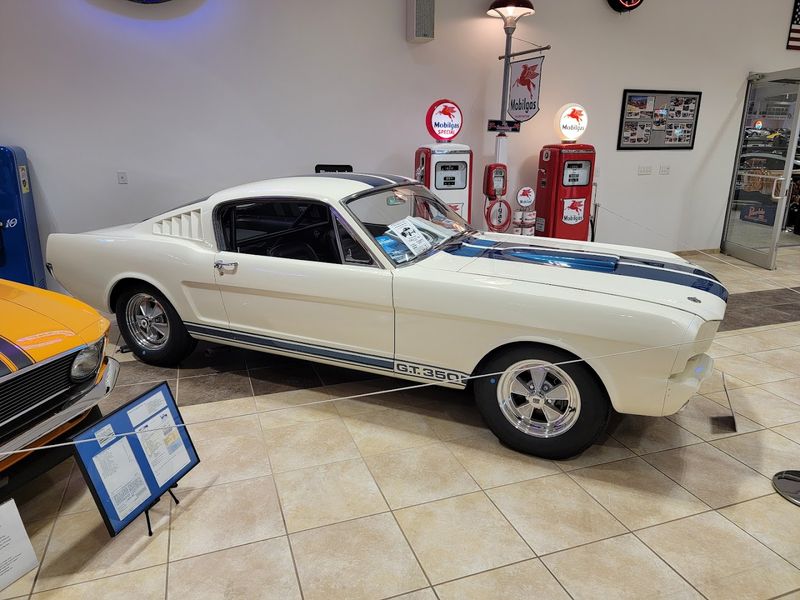 Why This Museum Belongs on Every Florida Road Trip List