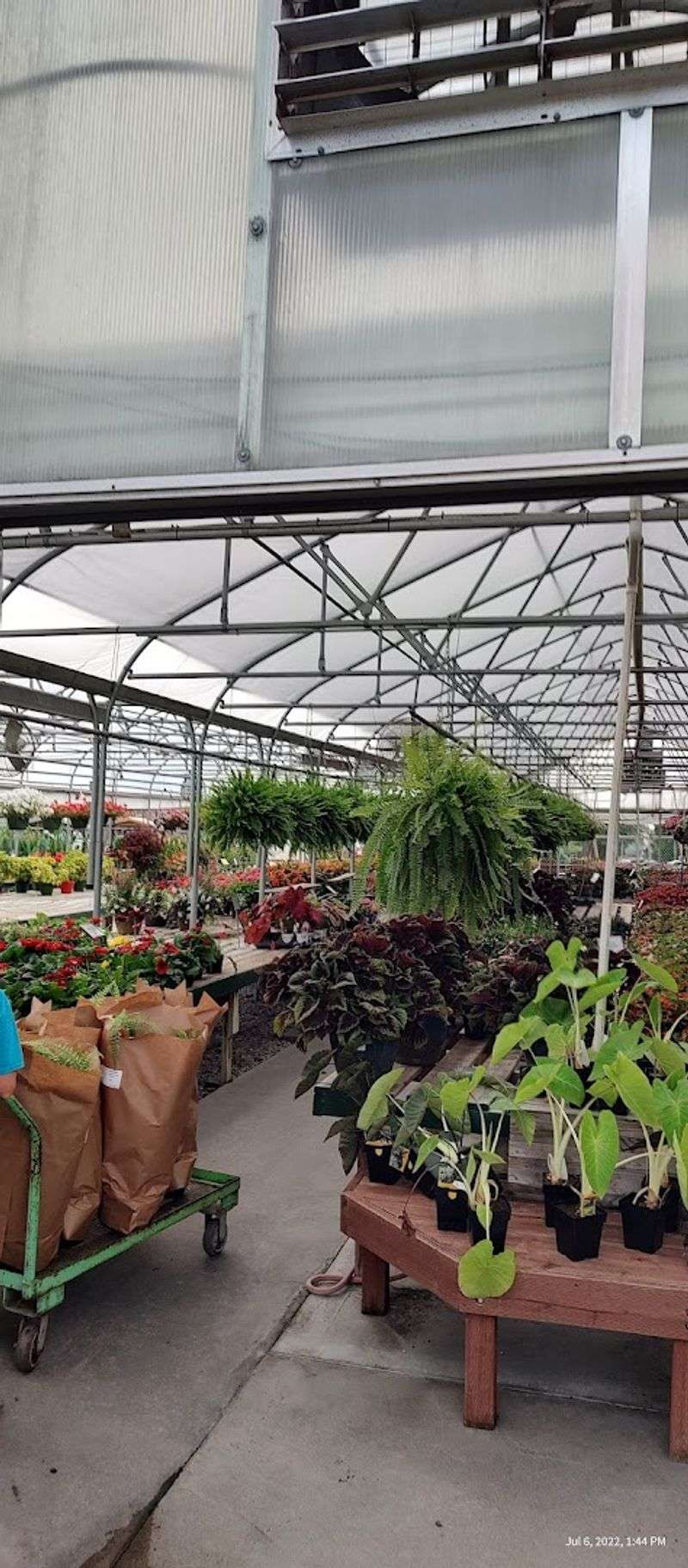 Vegetable Plants That Deliver Incredible Harvests