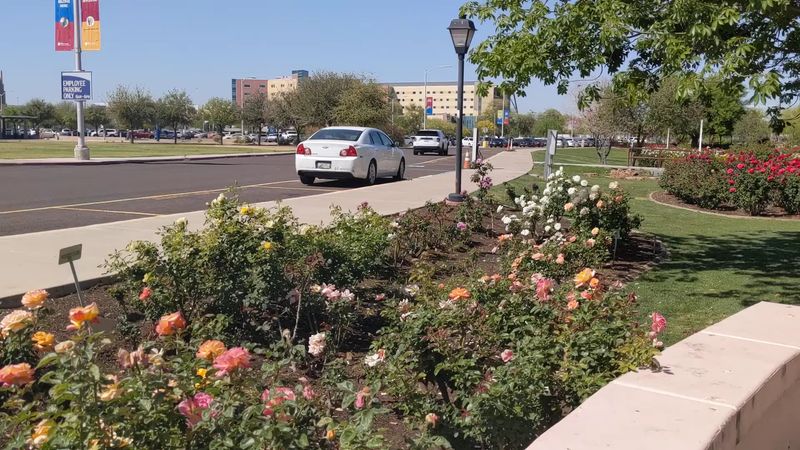 Free Parking Right Next to the Garden