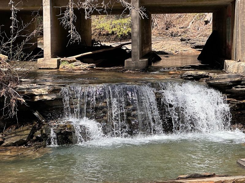 Piney Falls State Natural Area - Grandview, Tennessee