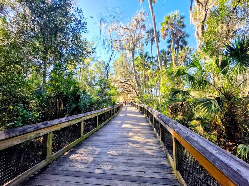 Blue Spring State Park - Orange City, Florida