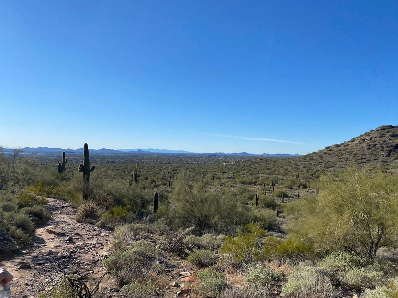 These Arizona Desert Garden Trails Are at Their Absolute Best This Spring 7 Gateway Trailhead - McDowell Sonoran Preserve - Scottsdale, Arizona