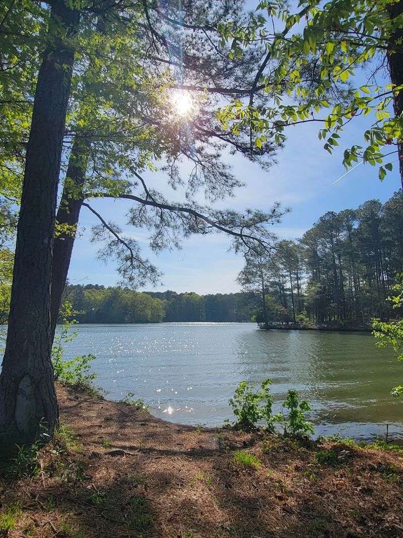 9 Tennessee state parks that deserve more attention than the usual favorites 8 Natchez Trace State Park - Wildersville, Tennessee