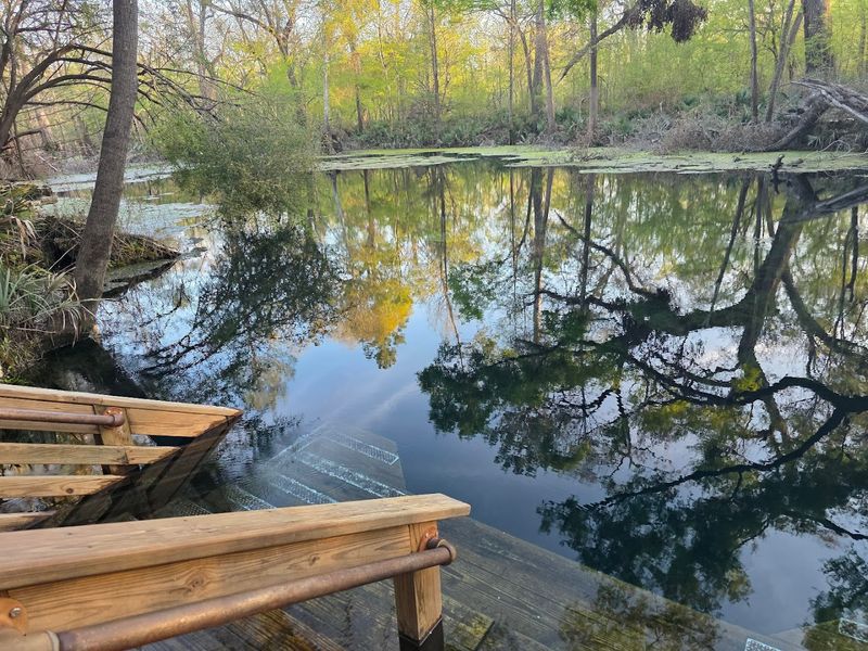 How the Suwannee River Affects Your Visit More Than You Might Think